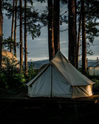 Chiếc lều trại được dựng lên giữa rừng