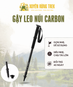 Gậy leo núi