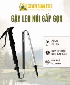 Gậy leo núi