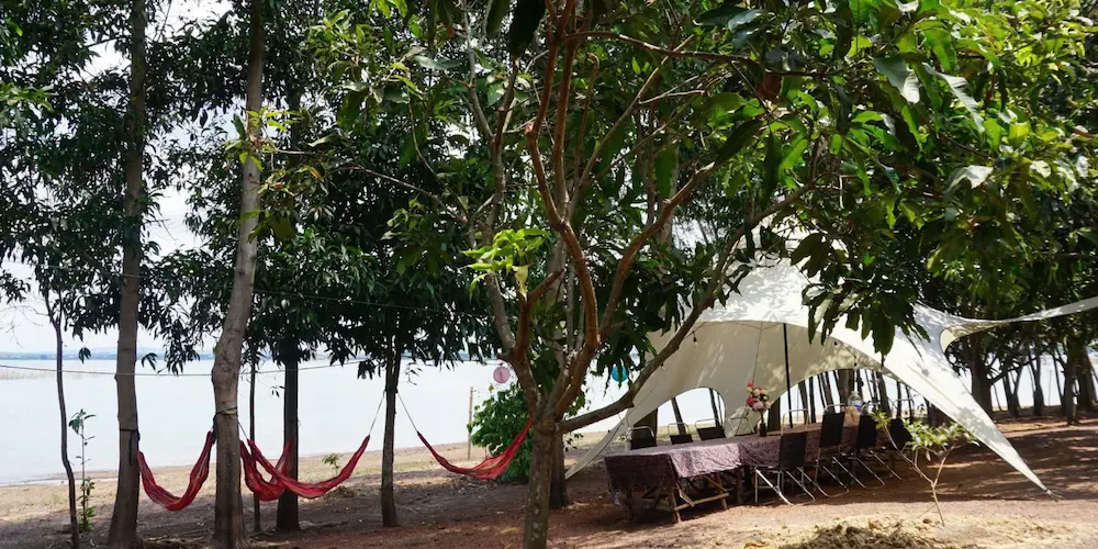 Vẻ đẹp