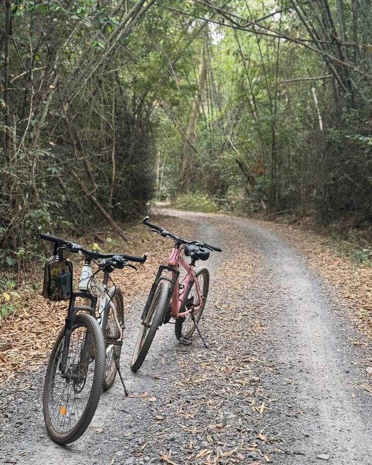 Trekking vườn quốc gia Nam Cát Tiên chơi gì 