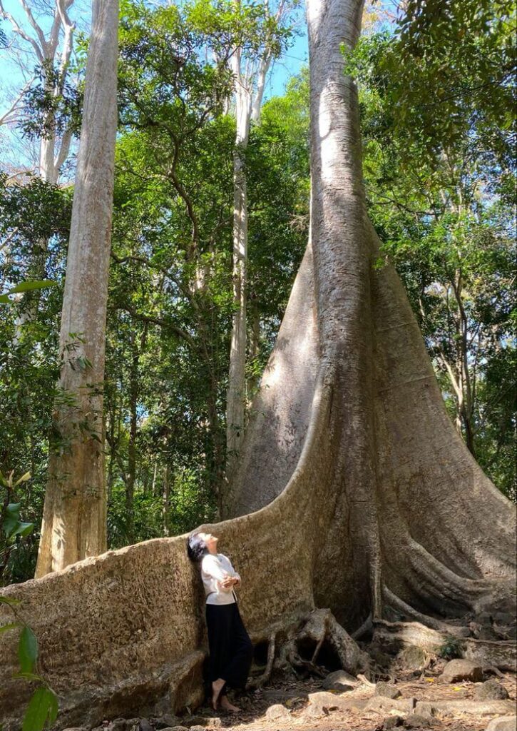 Trekking Nam Cát Tiên
